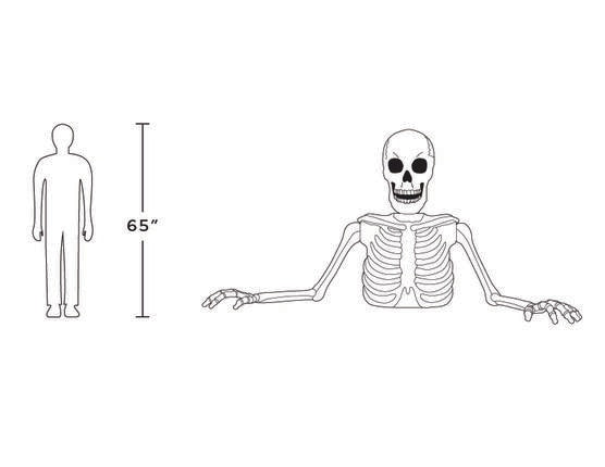 New! 5ft Halloween White Ground Breaking Skeleton