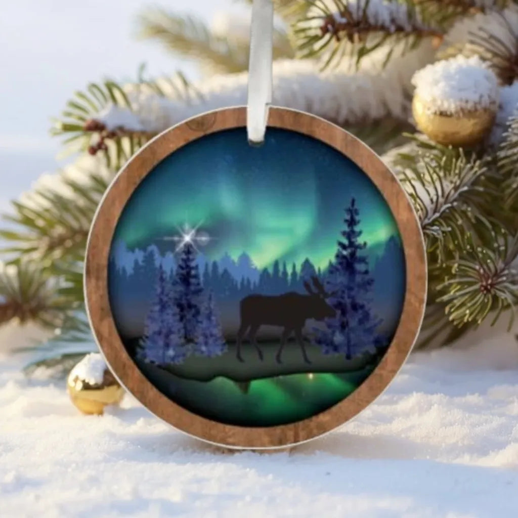 🌲2024 Northern LightsChristmas Ornaments