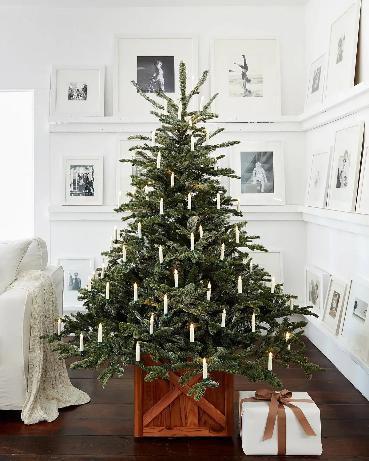 European Fir?? Tree