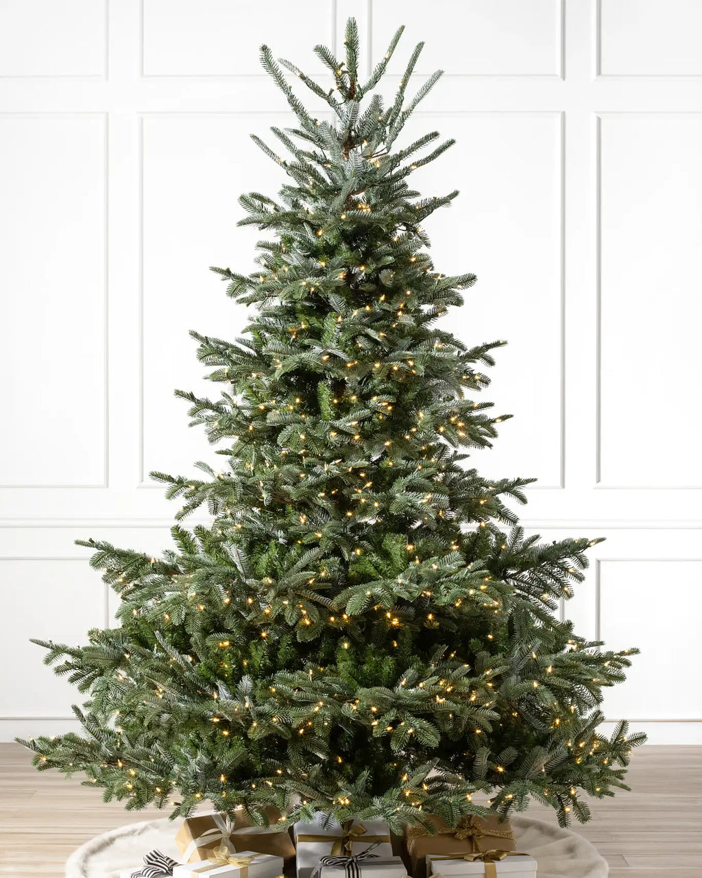 European Fir?? Tree