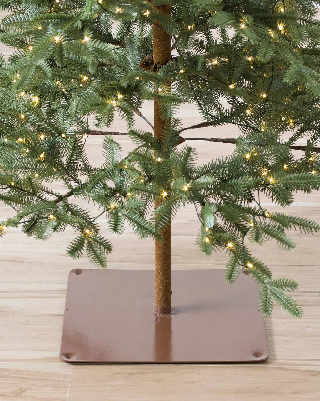 Alpine Balsam Fir?? Tree