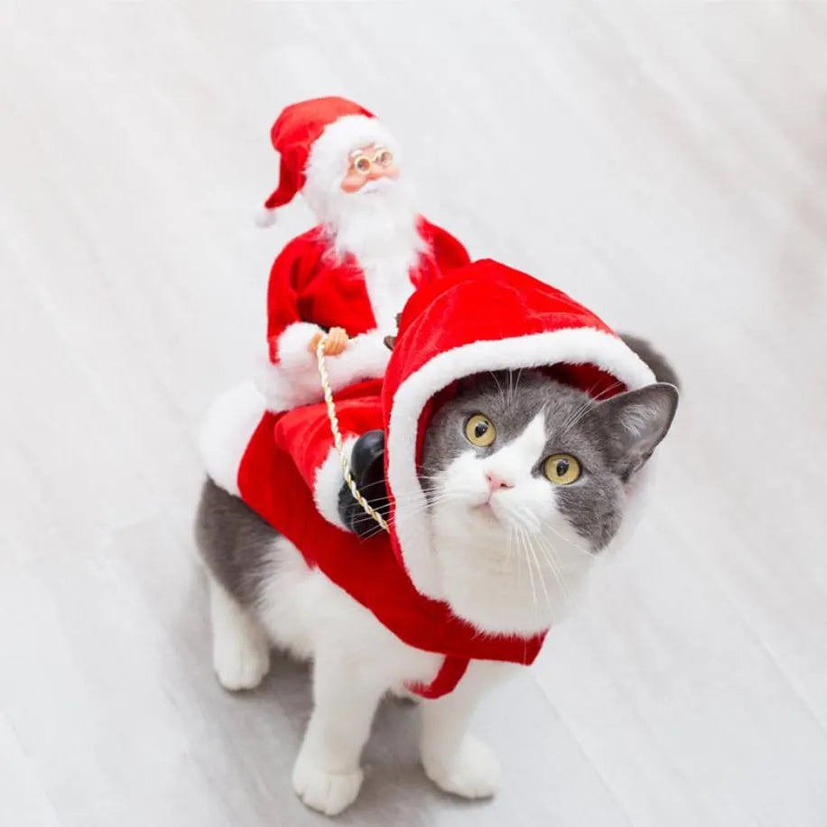 🔥Best Christmas Family Pajamas For Pets