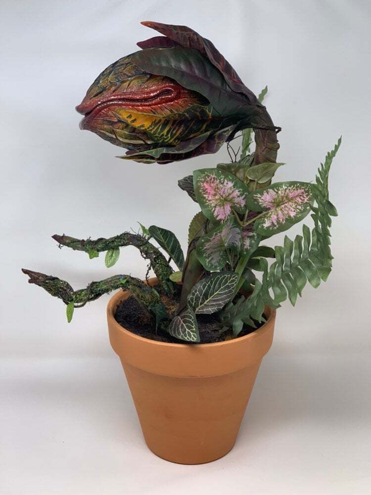 🎍Audrey plant from Little Shop of Horrors🎍