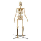 Giant-Sized Skeleton with LifeEyes LCD Eyes