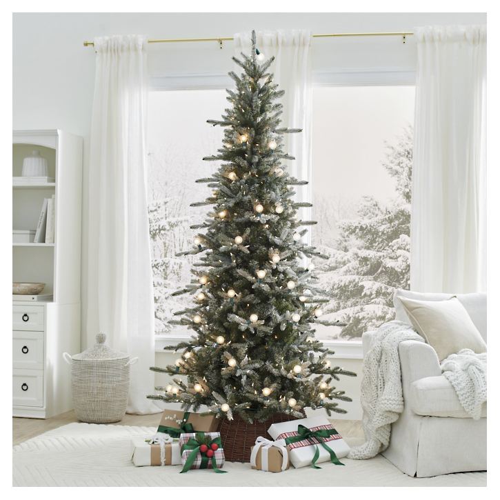 Park City Tree