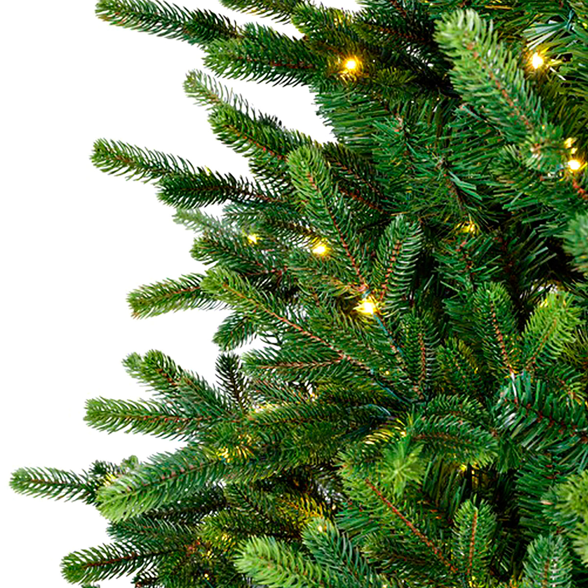 7'3" Sussex Fir Christmas Tree with Warm White and Color-Changing LEDs