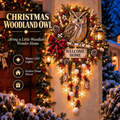 🦉 Woodland Owl Welcome Wall Light – Festive Christmas Door Decor 🦉