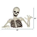 New! Red Shed 48 in. Ground Breaking Skeleton