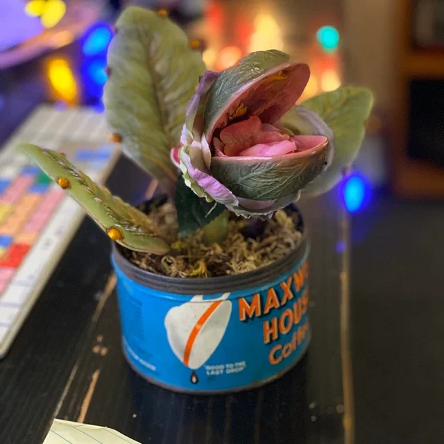 🎍Audrey plant from Little Shop of Horrors🎍